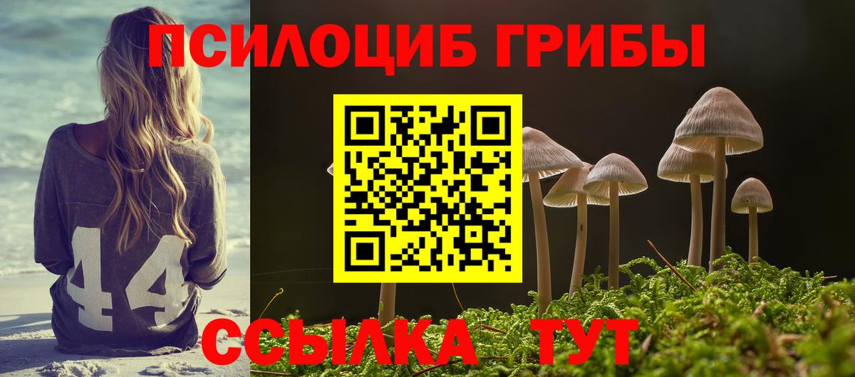 Галлюциногенные грибы Cubensis Сызрань